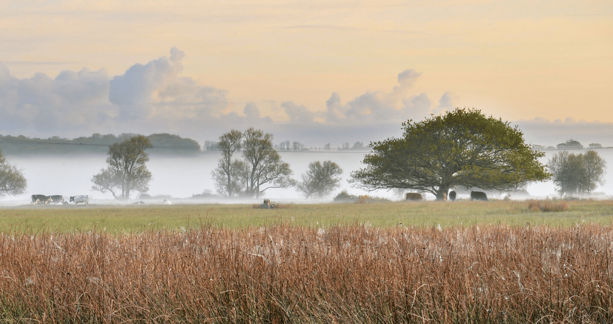 Stay Local and Eat Local - Visit Isle Of Wight